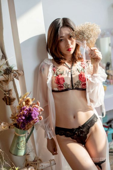 单身贵族